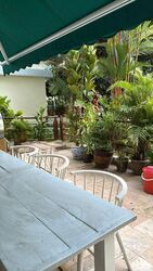 Southaven II (D21), Condominium #498702251